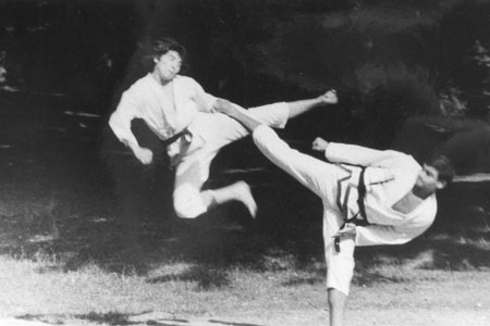 drazen madjarevic